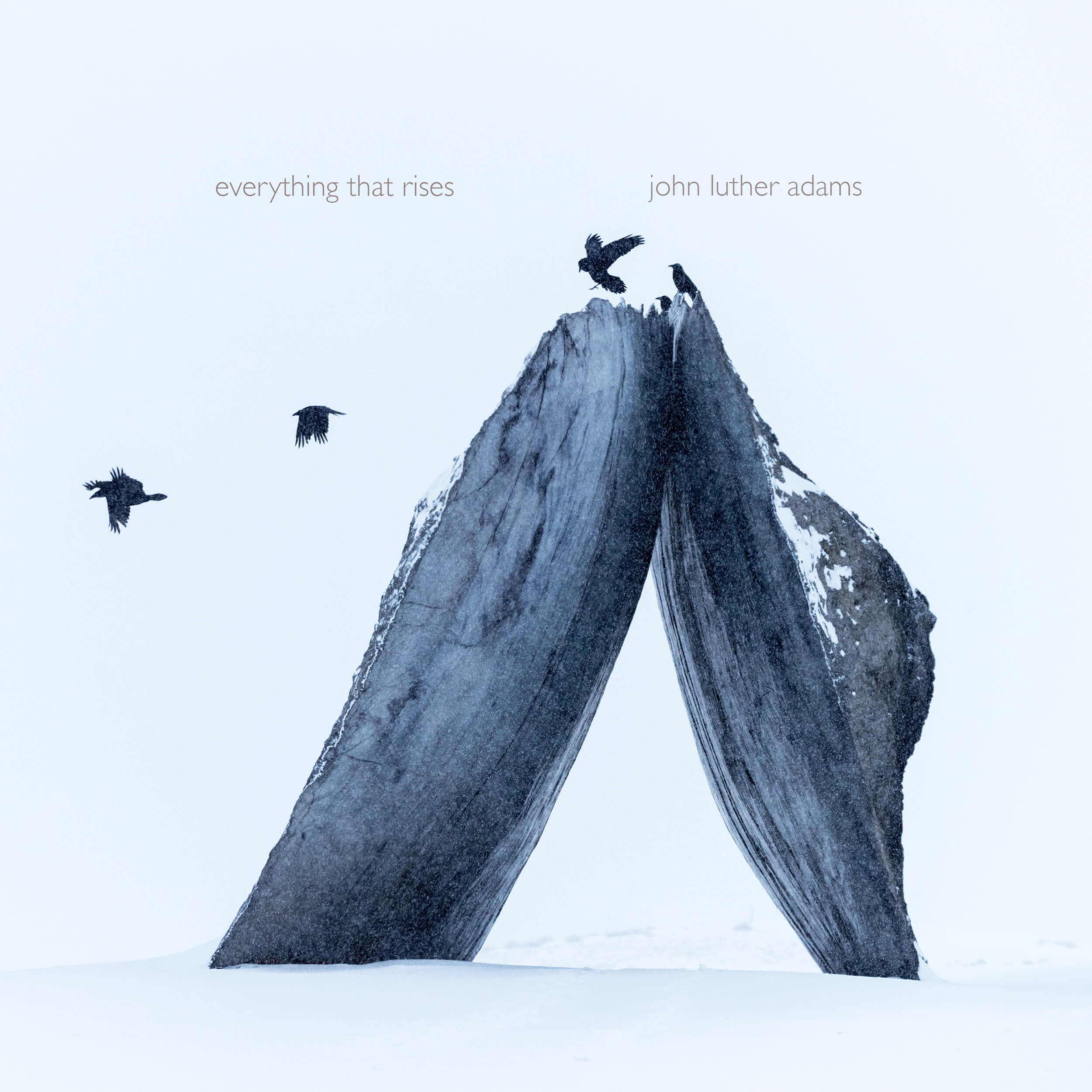 everything_cover_2500 everything_cover_2500