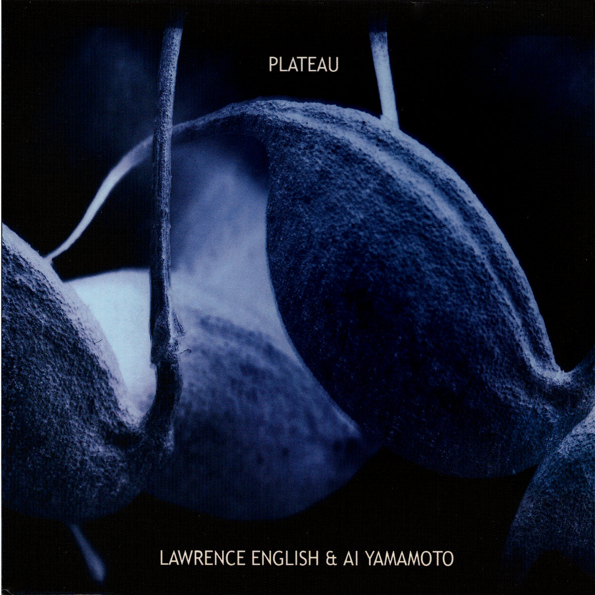plateau-cover
