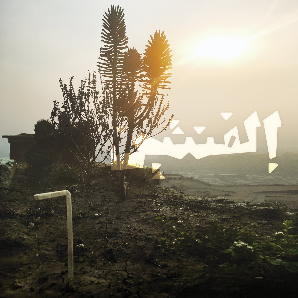 elephantine-cover elephantine-cover