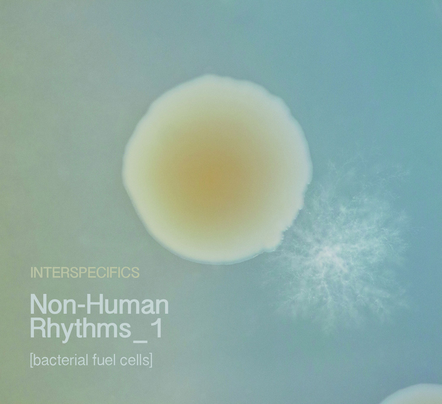 nonhuman1_cover nonhuman1_cover