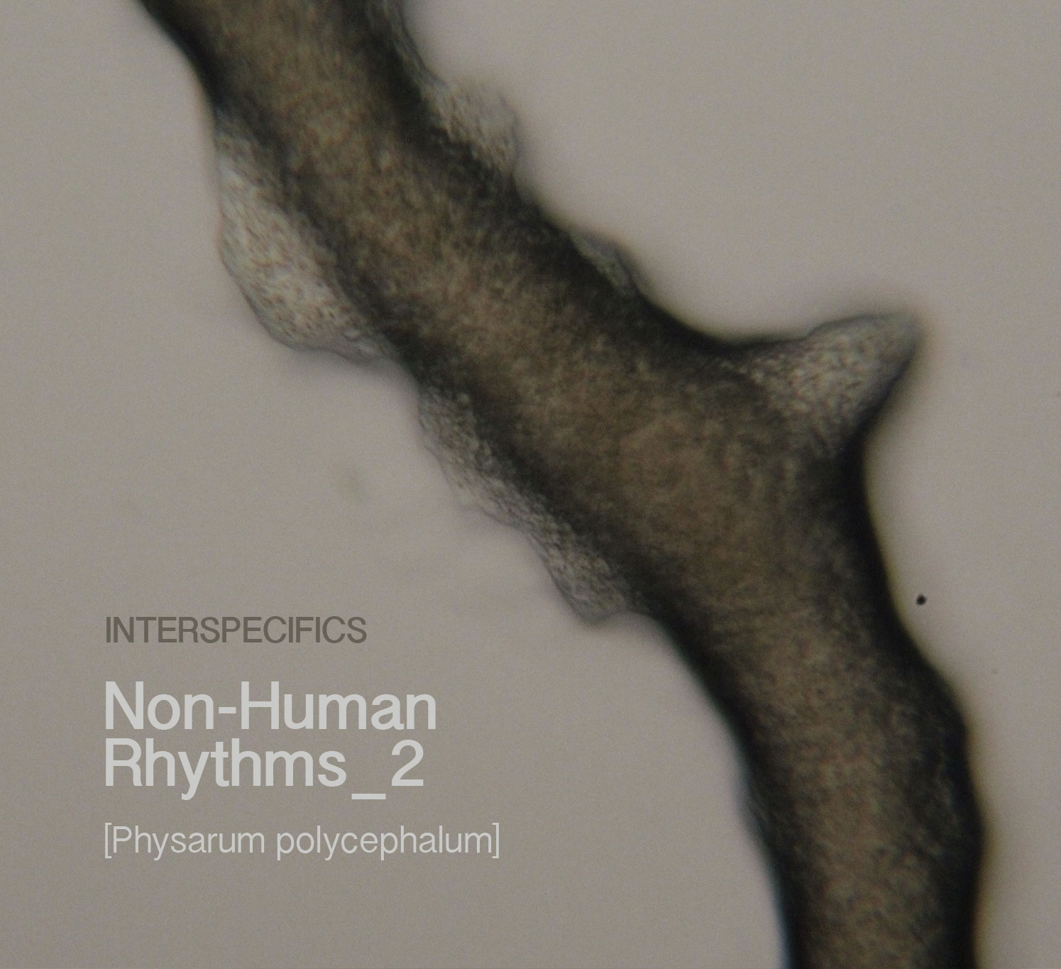 nonhuman2_cover nonhuman2_cover