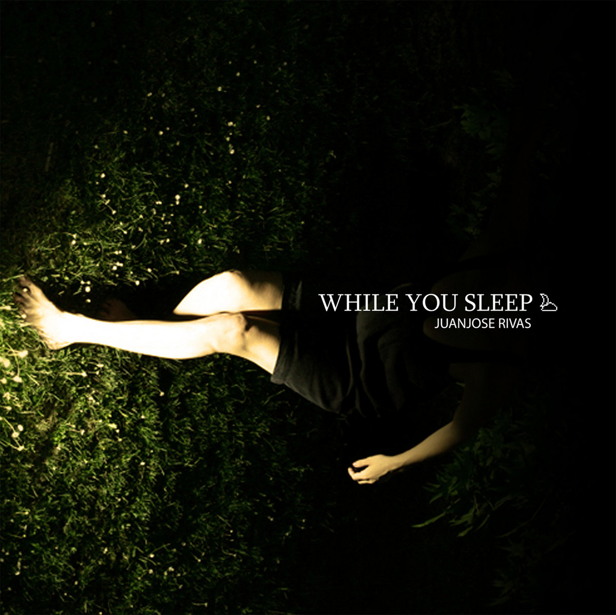 while-you-sleep-cover