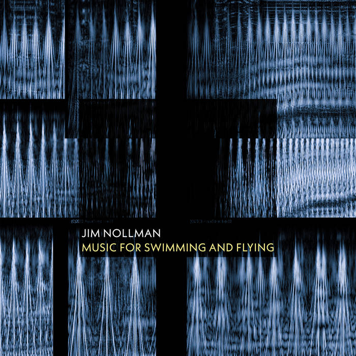 Jim Nollman: Music for Swimming and Flying Jim Nollman: Music for Swimming and Flying