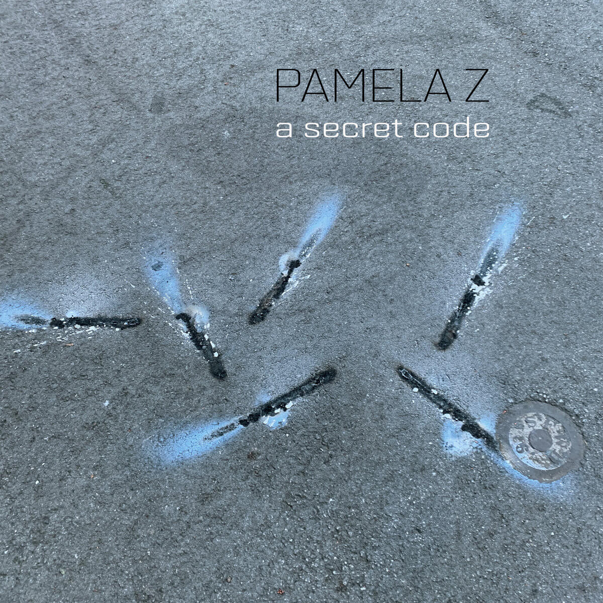 pamela-z_a-secret-code_cover