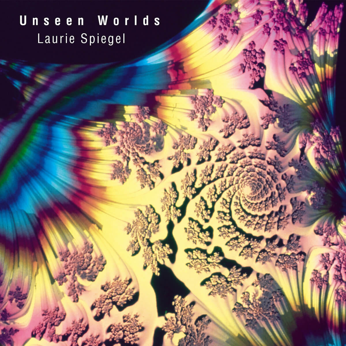 Unseen Worlds, Laurie Spiegel