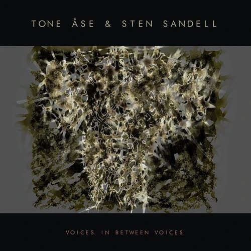 Voices In Between Voices Voices In Between Voices