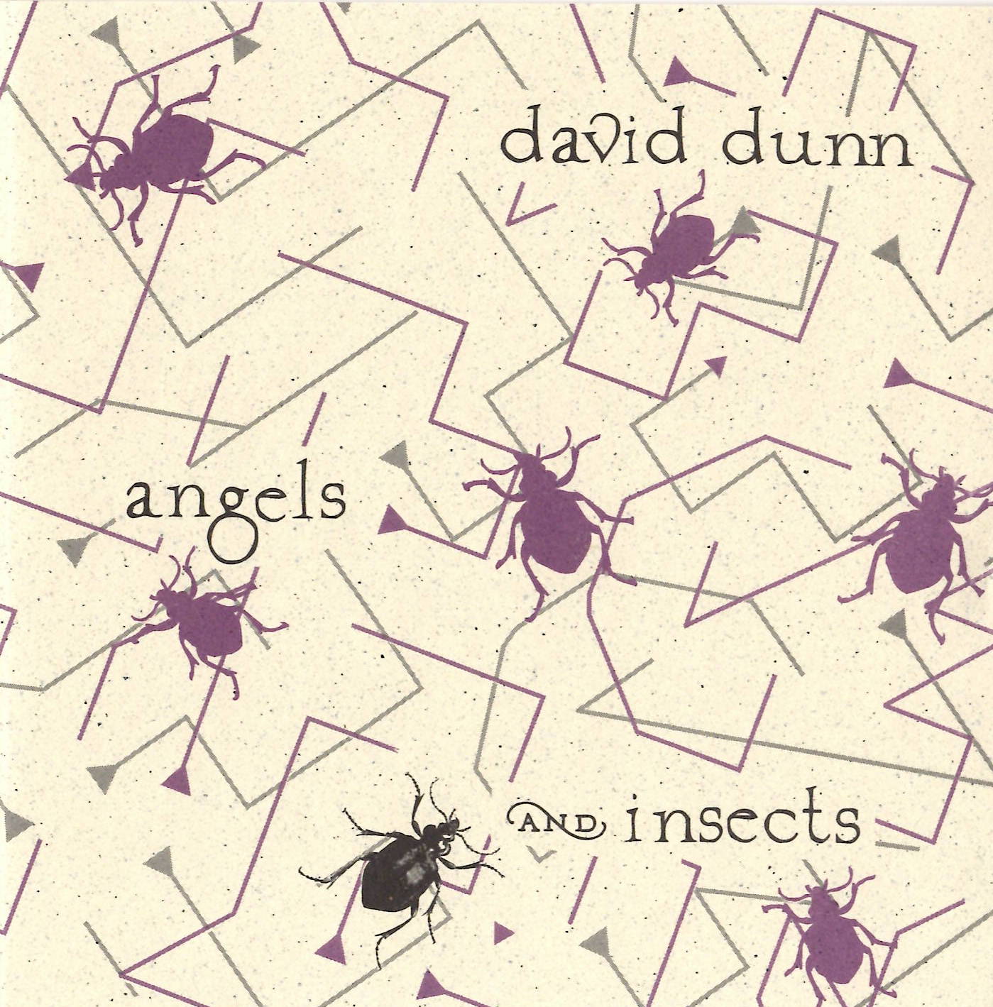 David Dunn, Angels and Insects