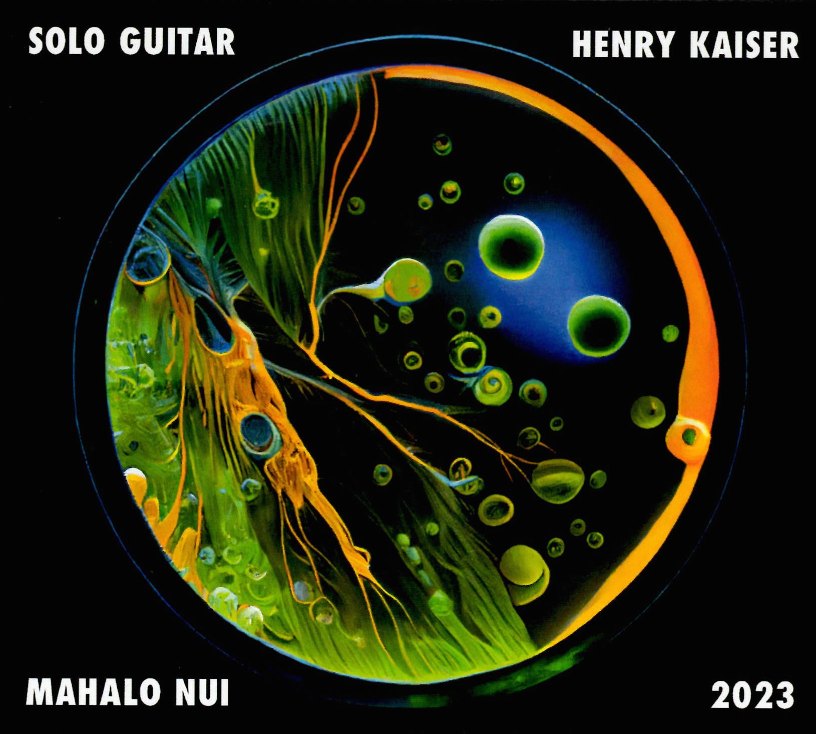 solo guitar henry kaiser mahalo nui