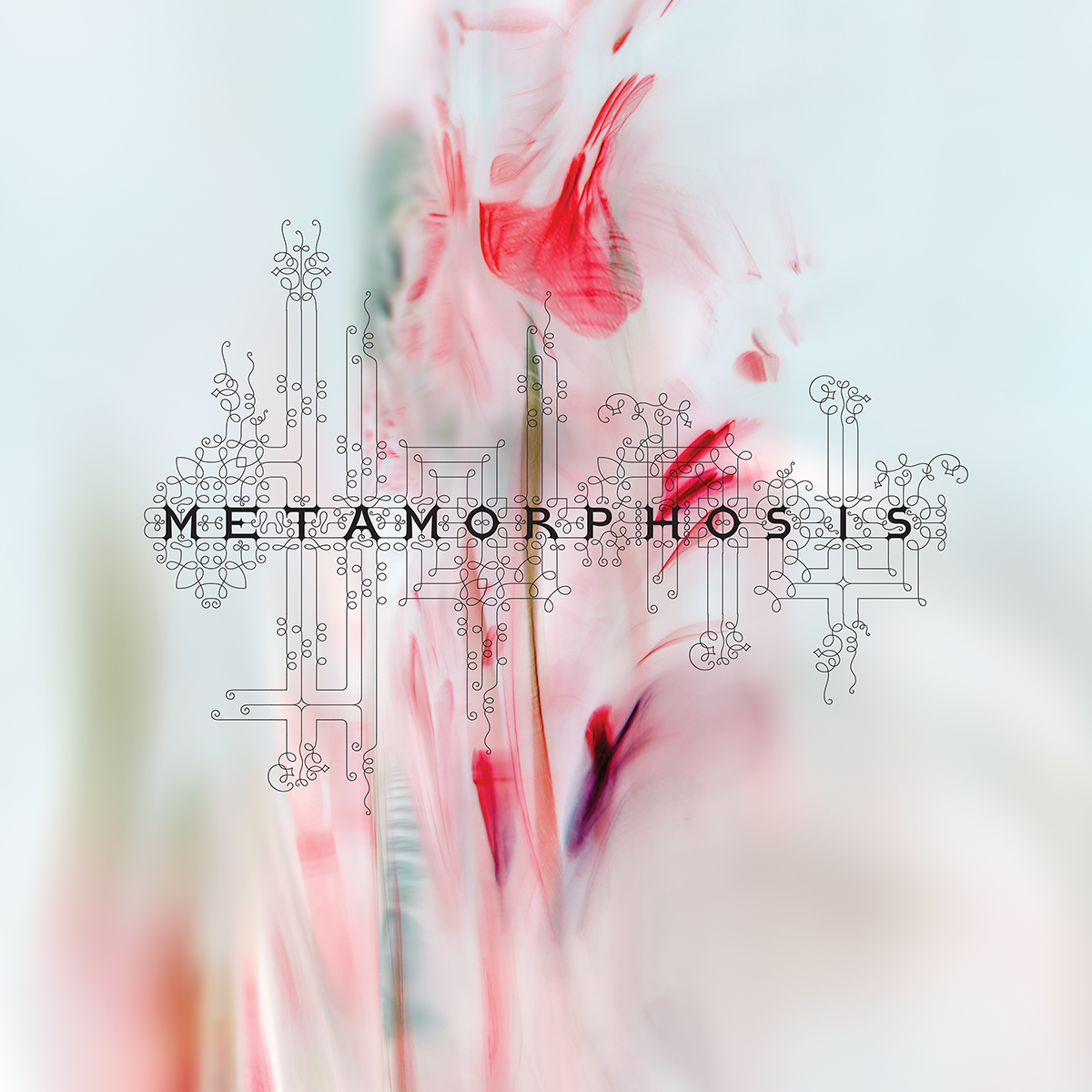 Metamorphosis Metamorphosis
