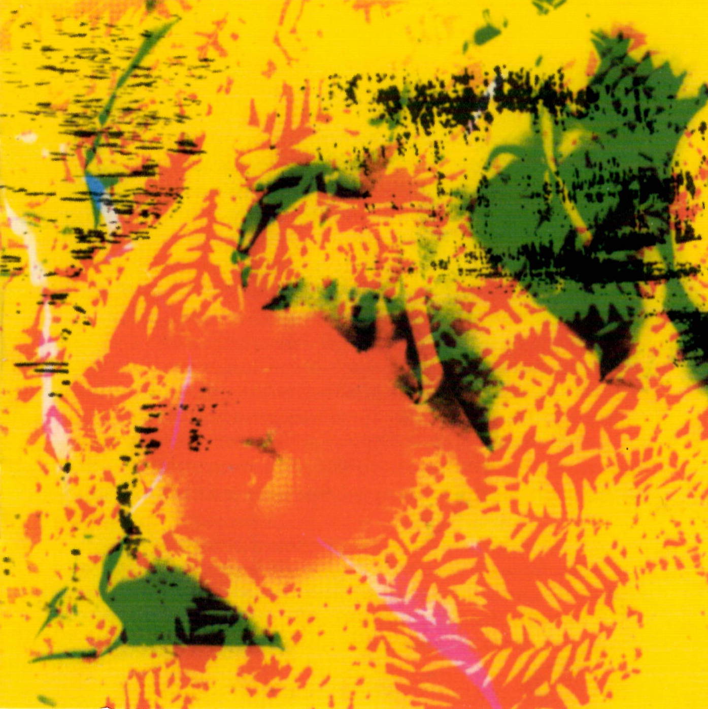 Phill Niblock Phill Niblock