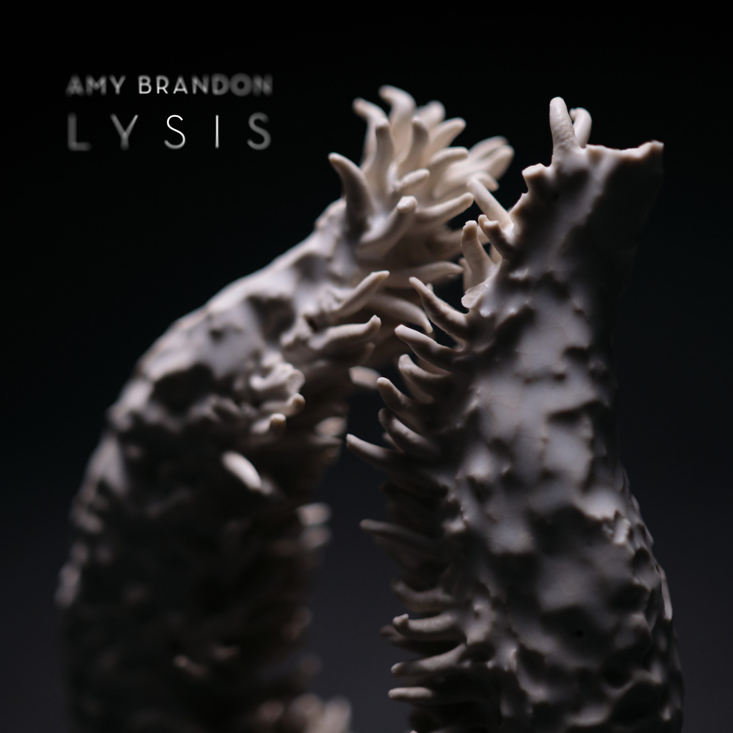Amy Brandon Lysis Amy Brandon Lysis
