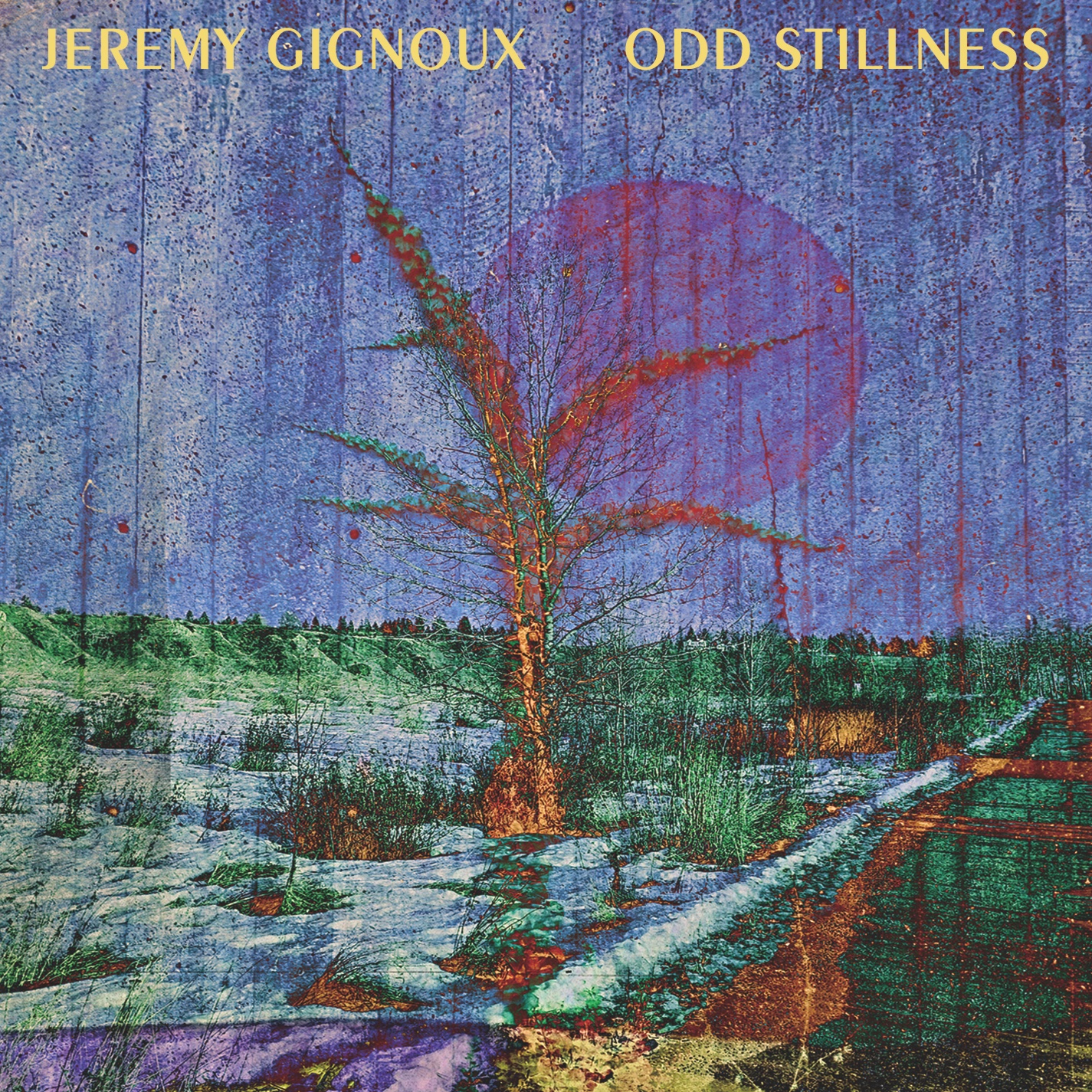 Jeremy Gignoux Odd Stillness Jeremy Gignoux Odd Stillness