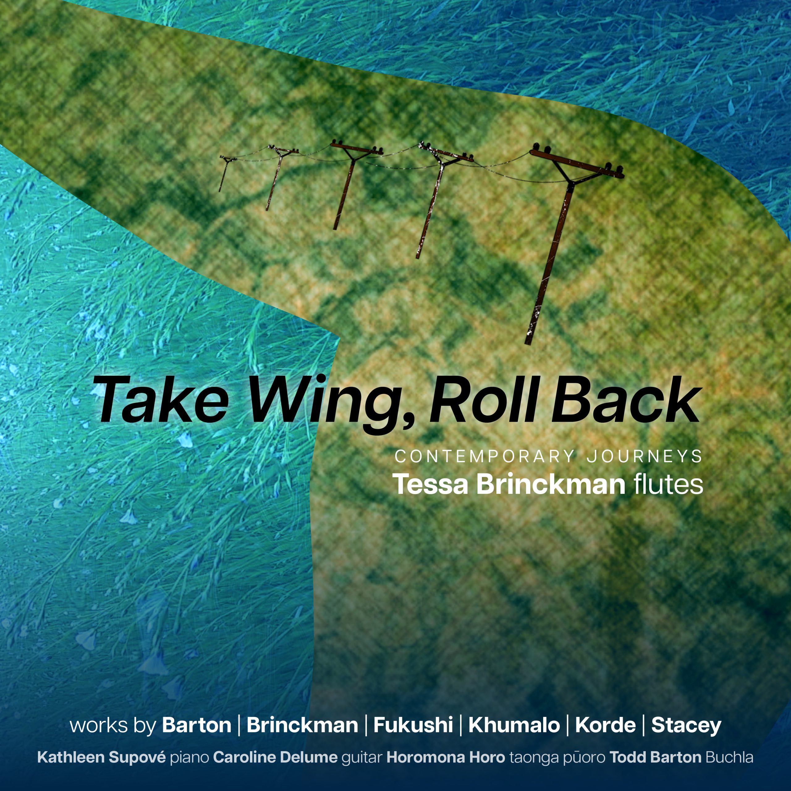Tessa Brinckman Tessa Brinckman Take Wing, Roll Back