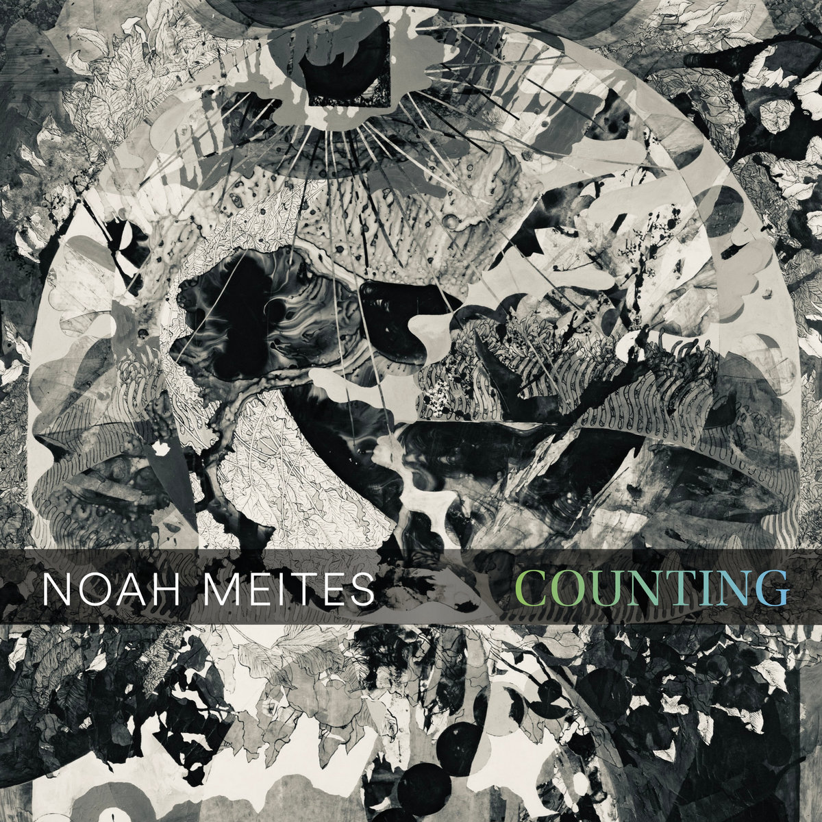Noah Meites Noah Meites Counting