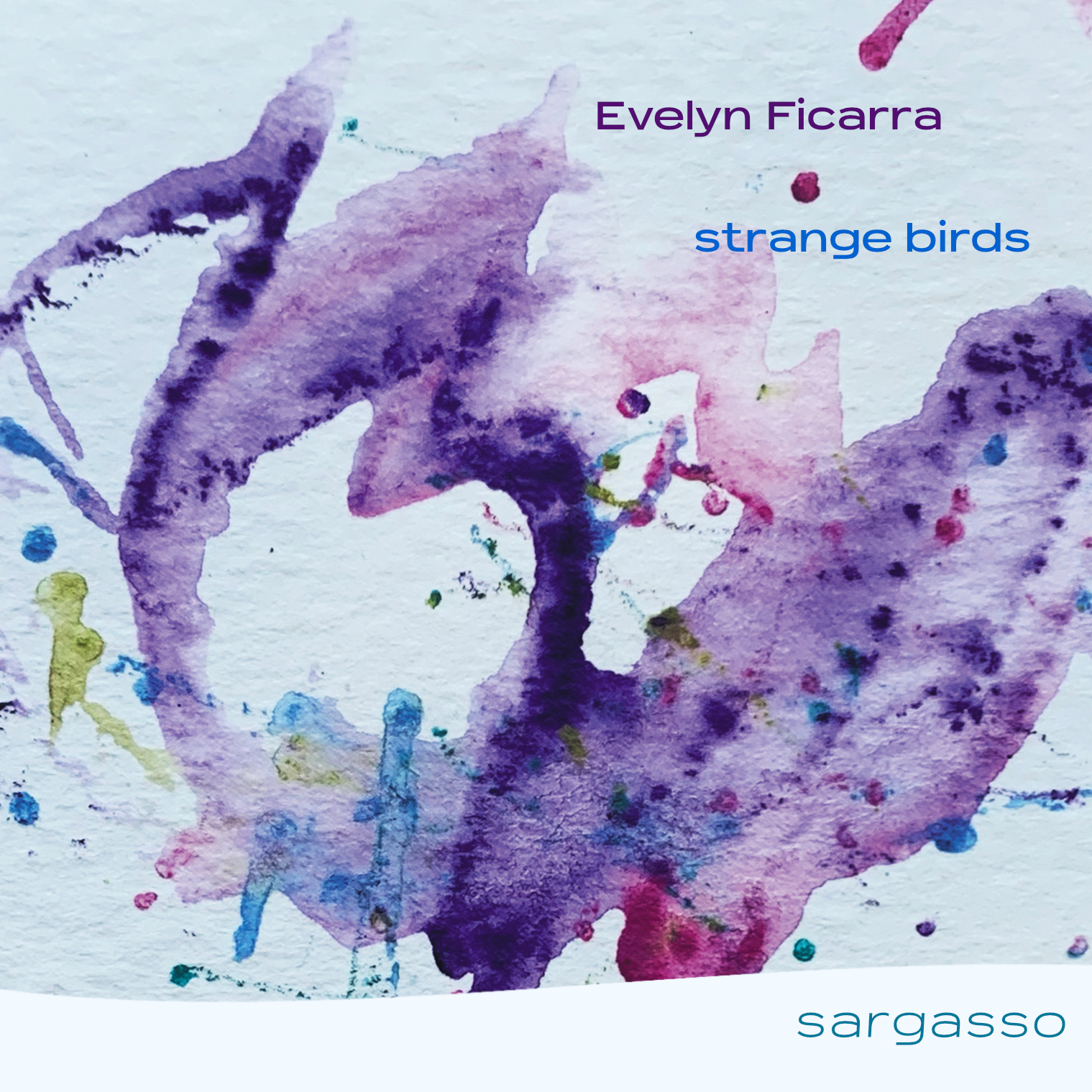 Evelyn Ficarra strange birds Evelyn Ficarra strange birds