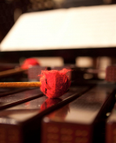 Mallets on Marimba